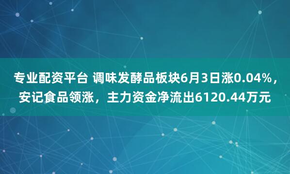 专业配资平台 调味发酵品板块6月3日涨0.04%，安记食品领涨，主力资金净流出6120.44万元