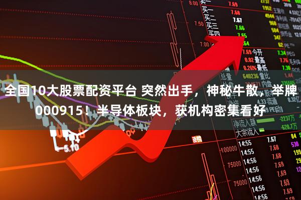 全国10大股票配资平台 突然出手，神秘牛散，举牌000915！半导体板块，获机构密集看好