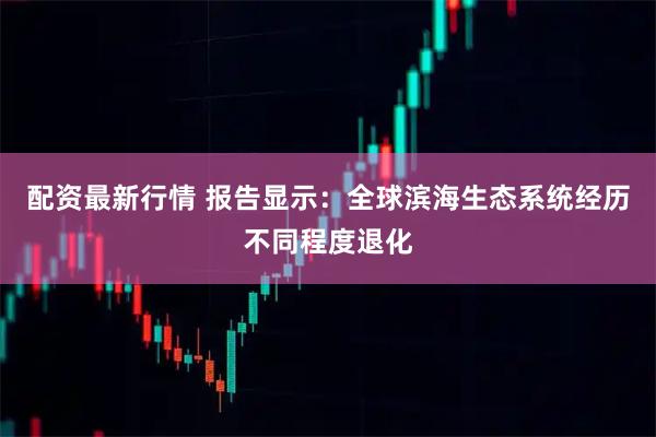配资最新行情 报告显示：全球滨海生态系统经历不同程度退化